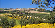 Tunesien - Landschaft bei Dougga