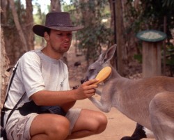 Jens bürstet ein Känguru